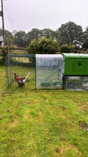 Dekking, baars en windkap