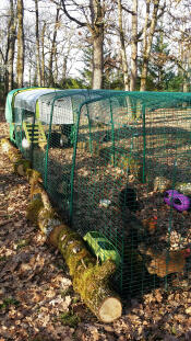 Eglu Cube met vier extensies!