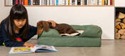 Hond die meisjesboek onderzoekt terwijl hij in saliegroen traagschuim hondenbed ligt