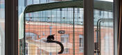 De balkon kattenren biedt een volledig veilige plek in de buitenlucht