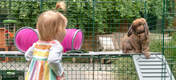 Kinderen vinden het enorm leuk om hun konijnenren in te richten met nieuwe niveau’s en te zien hoe hun dieren hun speeltuin verkennen