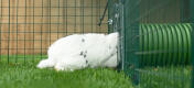 Verbind de Zippe tunnels veilig met elk soort konijnenhok of ren met het Zippi deurframe en verbindingsstuk