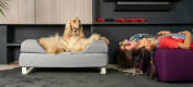 Hond liggend op Omlet Topology hondenbed met bolster bed topper en witte rail voeten met meisjes liggen ondersteboven