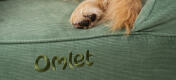 Close up van hondenpootjes op een comfortabel en gemakkelijk schoon te maken Omlet bolster hondenbed