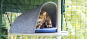 Kat speelt verstoppertje in mandaccessoire voor de outdoor freestyle kattenklimpaal
