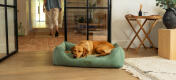 Retriever die slaapt op een groot corduroy mosnest hondenbed.