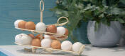 Een room Omlet eierklutser vol verse eieren in een keuken