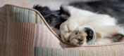 Patroondetail van ondersteunend en comfortabel Omlet nest hondenbed