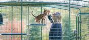 Man en kat in een kattenverblijf die genieten van de gepersonaliseerde buitenkattenboom