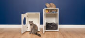 Twee Maya kat binnenkatten huizen met kat voor en een op de top