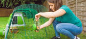 Schoonmaken en bijvullen van uw Caddi snackhouder voor cavia’s gaat makkelijk en snel. Haal eenvoudigweg de feeder van de kunststof haak en vul of reinig indien nodig!