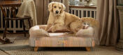 Retriever op verhoogd bolster hondenbed