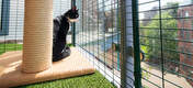 Uw kat zal het enorm leuk vinden om zijn nieuwe, veilige ruimte op het balkon te ontdekken en genieten van de buitenervaring
