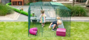 Twee kinderen spelen met cavia's in de ren Zippi 