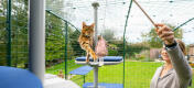 Kat speelt met Maya kat speeltje op Freestyle buitenkat boom in Omlet catio buiten in tuin