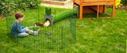 Een kind speelt met twee cavia's in een box