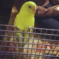 Mijn watje ❤️