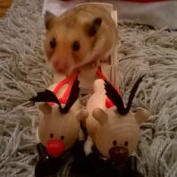 Kerstman Humphery