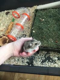 Met mijn hamster.