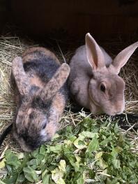 Geluk is een maaltijd voor twee 💗❤️💙