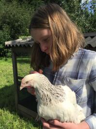 Hermionie Hen komt naar huis!