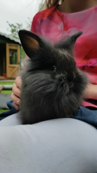 Frizzle geniet van een back scratch!