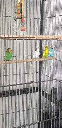 My friends