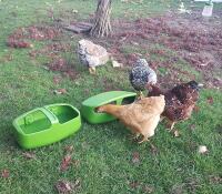 Eten en drinken samen