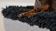 Detail van pootjes op een grijze microvezel topper op een Topology hondenbed