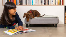 Klein meisje leest een boek naast een worst do g op een Topology hondenbed