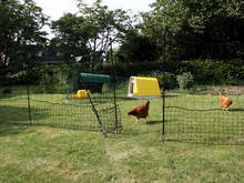 Omlet Chicken Fencing - 12 metres - Inc. Gate and Double Spike Poles