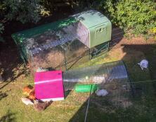 Onze menagerie, Cube en Go.
