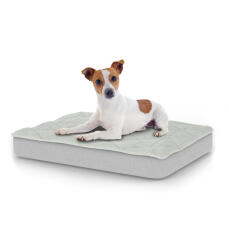 Hond zittend op klein Topology hondenbed met gewatteerde topper