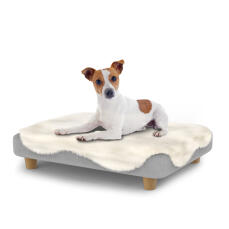 Hond zittend op een klein Topology hondenbed met schapenvacht topper en houten ronde poten