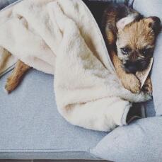 Walter houdt van zijn zachte en knusse deken