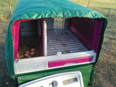Thermische deken toegang tot eieren en nestkast