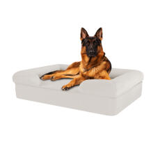 Hond zittend op meringue wit groot traagschuim bolster hondenbed
