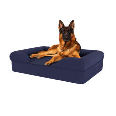Hond zittend op middernacht blauw groot traagschuim bolster hondenbed