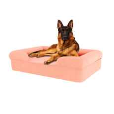 Hond zittend op perzik roze groot traagschuim bolster hondenbed