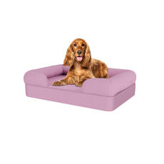 Hond zittend op lavendel lila medium memory foam bolster hondenbed