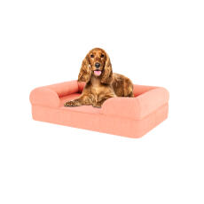 Hond zittend op medium perzik roze traagschuim bolster hondenbed