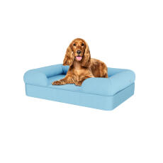 Hond zittend op medium hemel blauw traagschuim bolster hondenbed