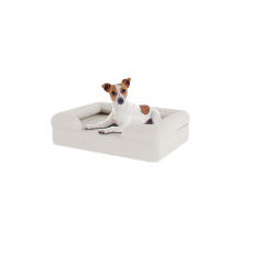 Hond zittend op klein meringue wit traagschuim bolster hondenbed