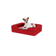 Hond zittend op klein merlot rood memory foam bolster hondenbed
