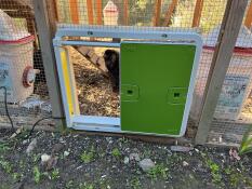 Een groene automatische deuropener bevestigd aan een behuizing