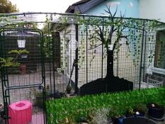 Een Omlet catio versierd met planten.