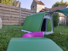 Green Eglu Go and run
