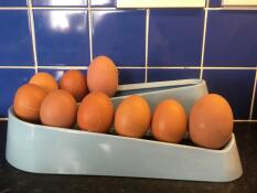 Eggtastisch
