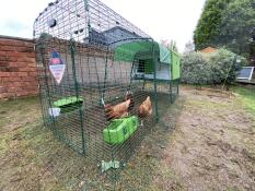 3 meisjes stellen zich vrolijk op in hun nieuwe Cube en 3m ren