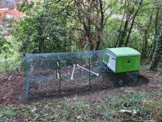 Omlet groen Eglu Cube groot kippenhok en ren
